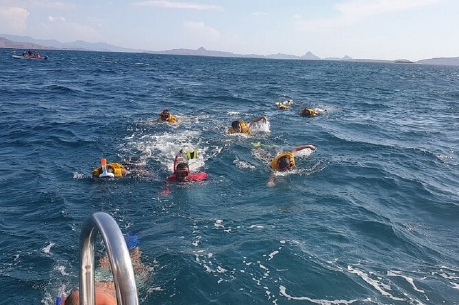 1- day Komodo Island Hopping Tour by Speed Boat departure From Labuan bajo - Manta Point: Snorkeling That Depends on the Current