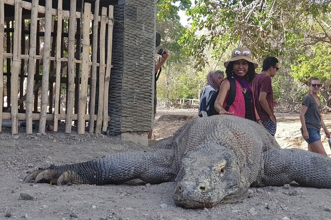 1- day Komodo Island Hopping Tour by Speed Boat departure From Labuan bajo - Kanawa Island: Your Chance to Relax and Swim Longer