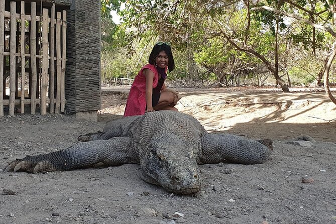 1- day Komodo island Tour hopping around by Speed Boat - Kanawa Island: second snorkeling option plus beach downtime