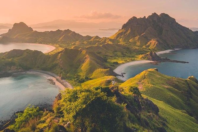 1 Day Komodo Trip by Private Fast Boat - Pink Beach: Quick Sand Time for Swim or Snorkel
