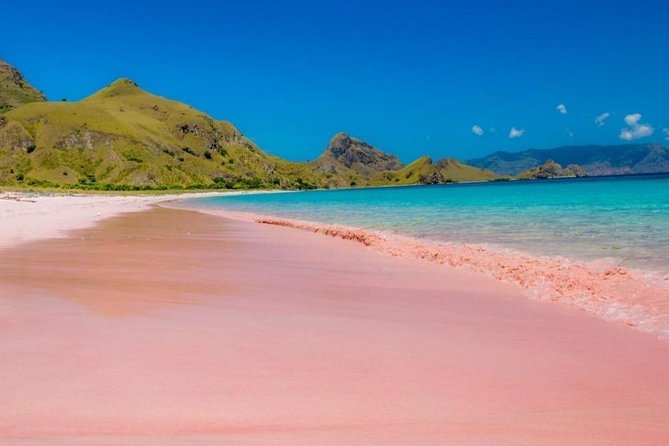 1 Day Komodo Trip by Private Fast Boat - Padar Island Summit Hike: Where the Views Earn the Effort