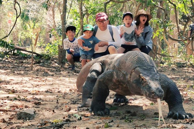 1 Day Komodo Trip By Share Fast Boat - One-day Komodo: how the route is built