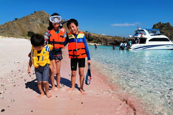 1 Day Komodo Trip By Share Fast Boat - Budget time: price value and the entrance fee add-on