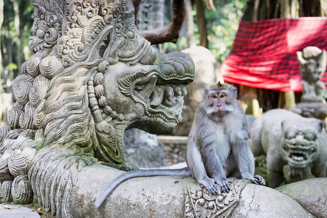 1-Day Ubud Tours All-Inclusive - Stop 2: Sacred Monkey Forest Sanctuary (fun, but keep control)