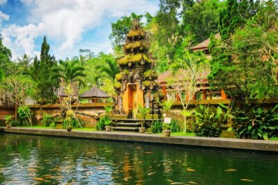 1-Day Ubud Tours All-Inclusive - Stop 1: Tegalalang Rice Terrace views (and what to watch for)