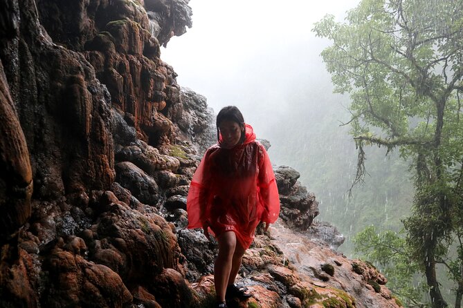 1 Day - ULTIMATE TOUR Tumpak Sewu Waterfall and Goa Tetes cave // 07:30 - 17:30 - Price and Logistics: what you’re really paying for at $51.95