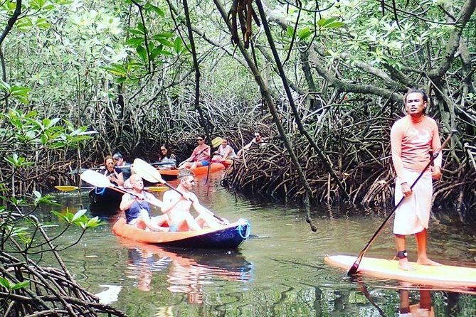 1 Hour Mangrove Tour From Lembongan with Kayak, Paddle, or Boat - Mangroves by kayak: why this 1-hour tour is such a good fit