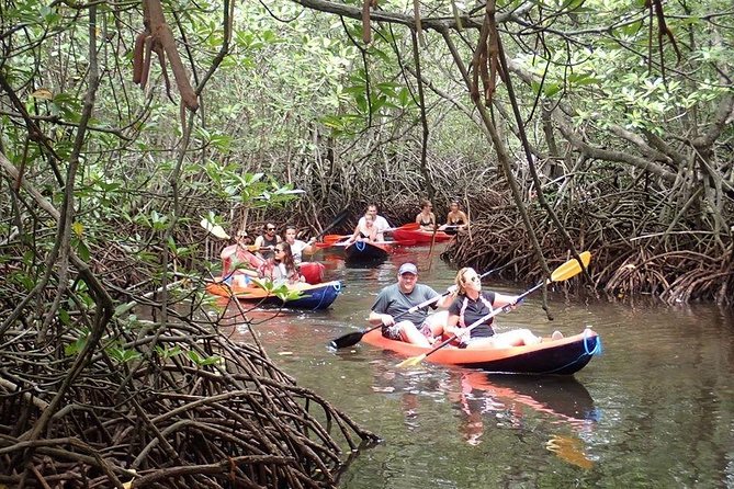 1 Hour Mangrove Tour From Lembongan with Kayak, Paddle, or Boat - Timing reality check: planning for about 45–60 minutes on the water