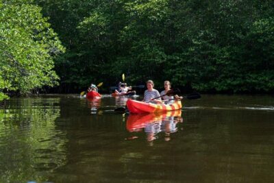 1 Hour Mangrove Tour From Lembongan with Kayak, Paddle, or Boat - Kayak, SUP, or boat: what ride choice really changes