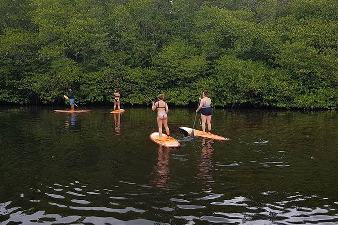 1 Hour Mangrove Tour From Lembongan with Kayak, Paddle, or Boat - What’s included vs not included: the value math of $10.70