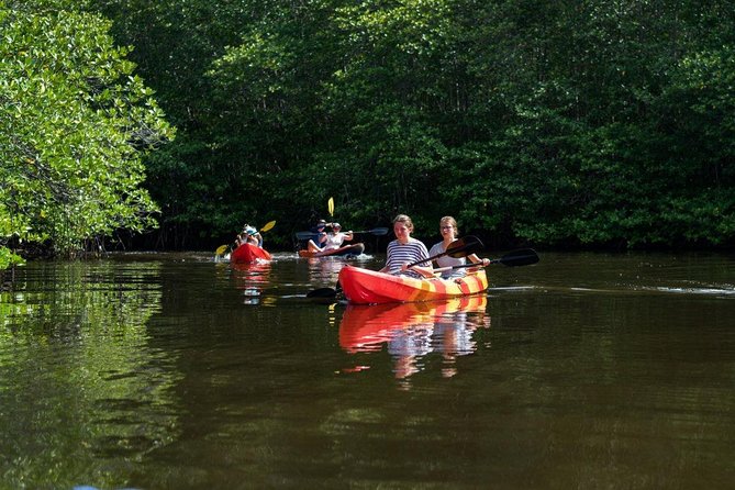 1 Hour Mangrove Tour From Lembongan with Kayak, Paddle, or Boat - Kayak, SUP, or boat: what ride choice really changes