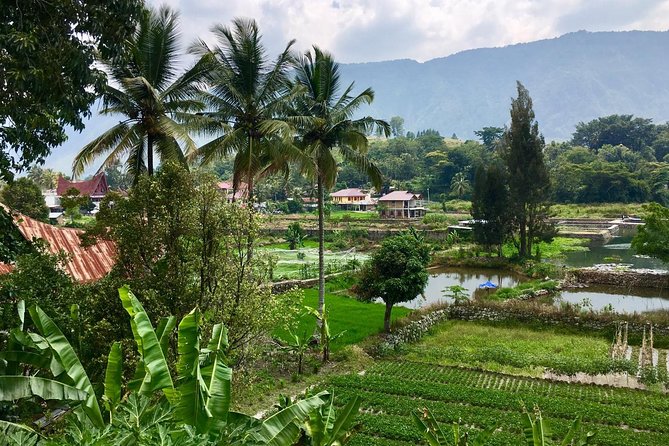 1 week private round trip North Sumatra - Day 1: Kuala Namu Airport to Bukit Lawang, with real airport-to-park ease