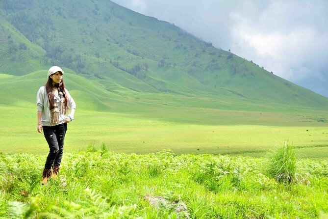 1Day - Bromo Non Sunrise Tour via Malang (to avoid crowd) - Price and value: what $75 really buys on this Bromo day