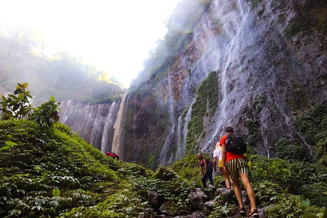1Day - Tumpak Sewu Waterfall and Goa Tetes Cave Trekking - Key things that make this tour work