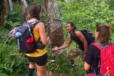 2-Day Jungle Trekking & Rafting in North Sumatra - Trek day one: entering the park and watching the river line