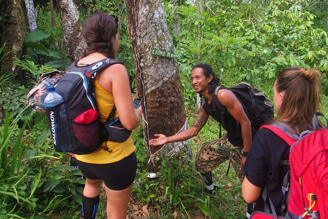 2-Day Jungle Trekking & Rafting in North Sumatra - Trek day one: entering the park and watching the river line