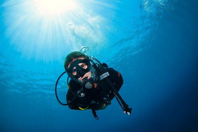 2 Days & 1 Night - 2 Dives in Lembongan/Penida (for certified divers) - Key highlights worth your attention