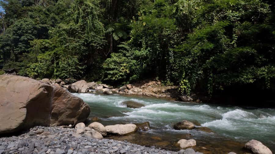 2 Days 1 Night Orangutan Trek Bukit Lawang - Key things that make this trek worth your time