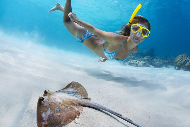 2 Days/1N Trip - Snorkeling with Manta Rays in Lembongan/Penida (all included) - Key Highlights (What’s Worth Noticing)