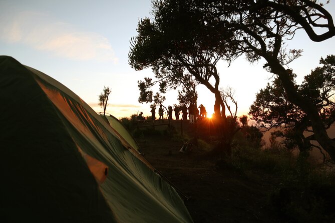 2 Days - Bromo Camping // 14.00 - 13.00 - Why this 2-day Bromo camping plan works