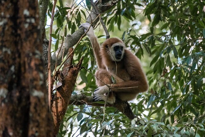 2 Days Ethical Jungle Trek in Sumatra - Stop Inside Gunung Leuser: What You’re Actually Doing