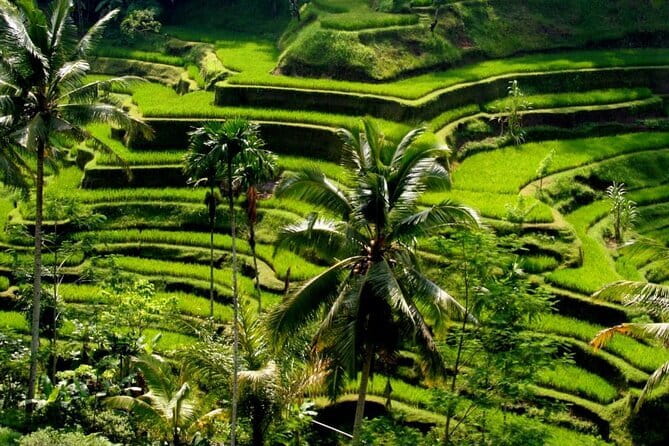 2 Days Mount Batur Sunrise Trekking With Private Ubud Day Tour - Price and value: why US$99 can make sense here
