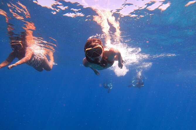 2 Days Tour to explore Labuan Bajo and Komodo Island - Key Highlights You’ll Feel Immediately