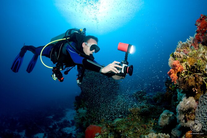 2 or 3 dives in Nusa Lembongan and Penida, for certified diver (in Lembongan) - Crystal Bay and Gamat Bay: where the day gets more interesting than one spectacle