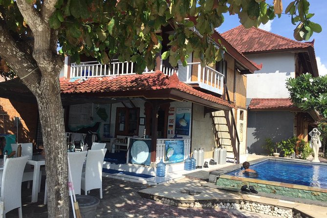 2 or 3 dives in Nusa Lembongan and Penida, for certified diver (in Lembongan) - Price and value: why $105 can be a fair deal (with two honest caveats)
