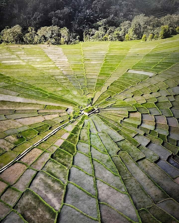 2D1N Exotic Waerebo Village Tour from Labuan Bajo - The Trek to Wae Rebo: What the 5 km Uphill Feels Like