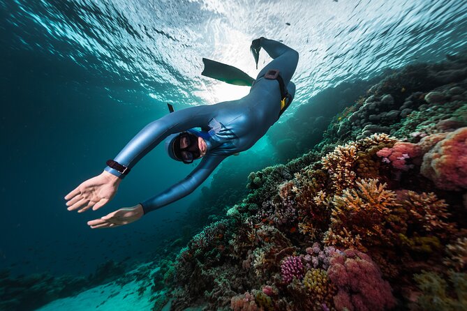 3-Day Freediving Level 1 Course - Key things to know before you go