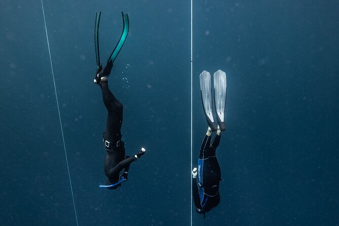 3-Day Freediving Level 1 Course - Price and value: is $450 fair for 3 full days?