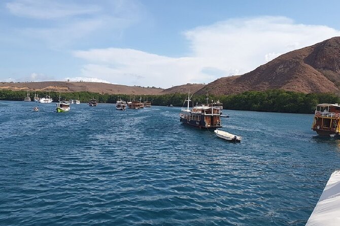 3-Day Komodo island Tour with or without Roundtrip Flight From Bali - What you eat (and what you should pack for)