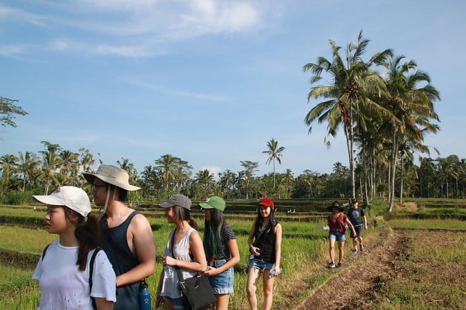 3-Day Private Sightseeing Tour of Bali with Hotel Pickup - Small Planning Tips That Make This Tour Feel Effortless