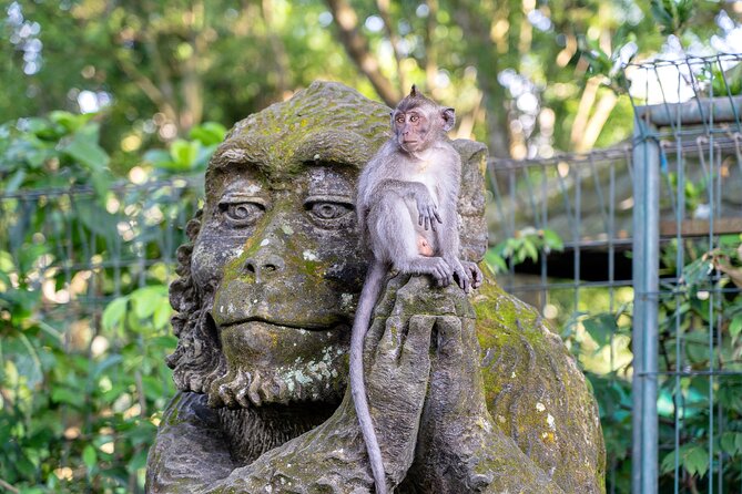 3 Days for the best of Ubud Private Tour - Day 1 in Ubud: Monkey Forest, Palace Corners, Rice Terraces, Swing, and Purification