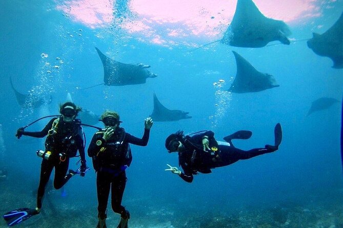 3 Epic Dives in Nusa Penida - Certified Divers' Day Trip - Key things that make this Nusa Penida day trip work