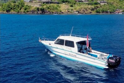 3 Epic Dives in Nusa Penida - Certified Divers' Day Trip - Price and logistics: what the $190 actually buys you