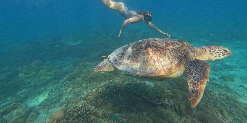 3 Gili island: snorkeling & turtle sanctuary gopro included - How This 3 Gili Snorkeling Tour Works (and Why It Feels Less Crowded)