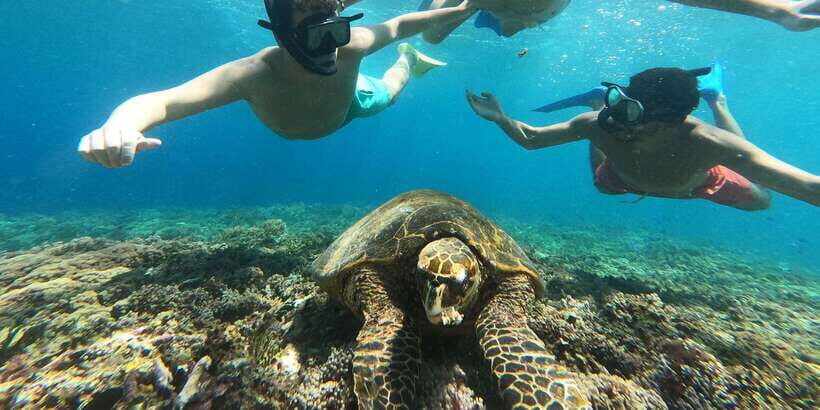 3 Gili island: snorkeling & turtle sanctuary gopro included - Meeting Point and Timing: The “Show Up Here” Details