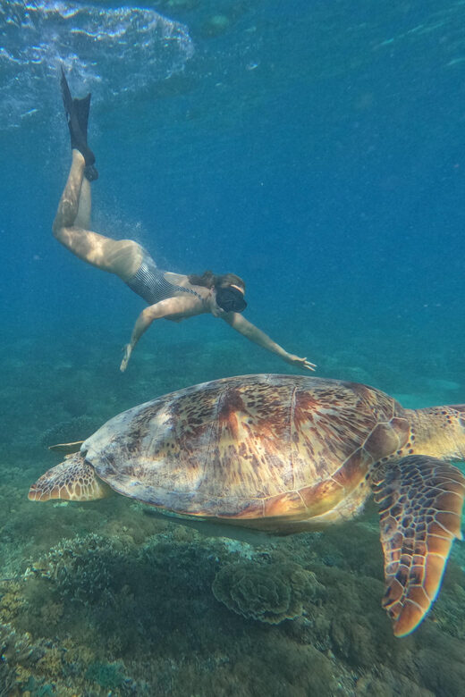 3 Gili island: snorkeling & turtle sanctuary gopro included - Glass-Bottom Boat and Private Flow: Small Group Advantages