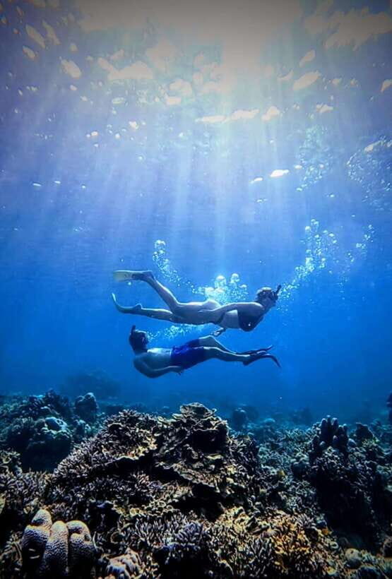 3 islands snorkeling & turtle sanctuary Gopro included - What I’d focus on while snorkeling (so you actually get your money’s worth)