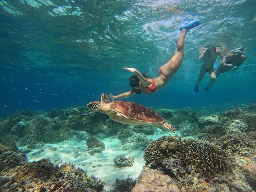 3 Islands Snorkeling with Glass Bottom Boat & GOPRO SHOOT - Lunch Stop and the Cash Reality