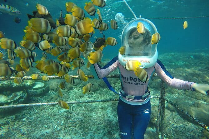 30 Minutes Ocean Walking in Nusa Dua, Bali - Key things to know before you go