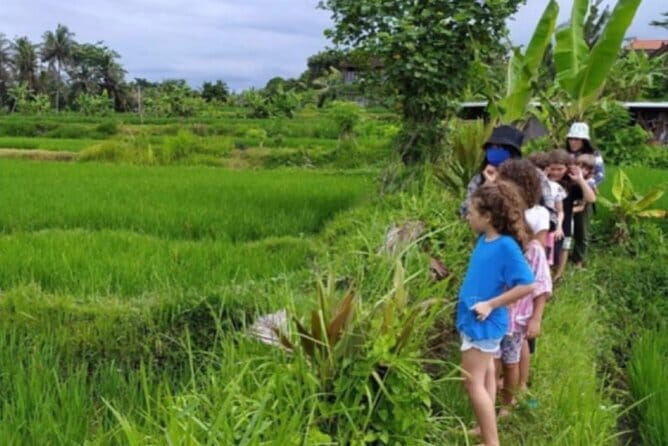 30 Minutes Ocean Walking in Nusa Dua, Bali - Getting there and back from Ubud: private car value