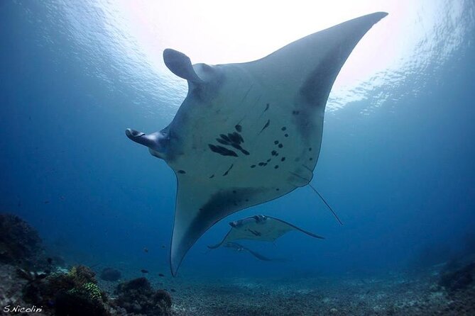 3D2N Sailing Komodo Living on Board Fiday to Sunday (Labuan Bajo) - Price and value: what $275 covers, and where costs can rise