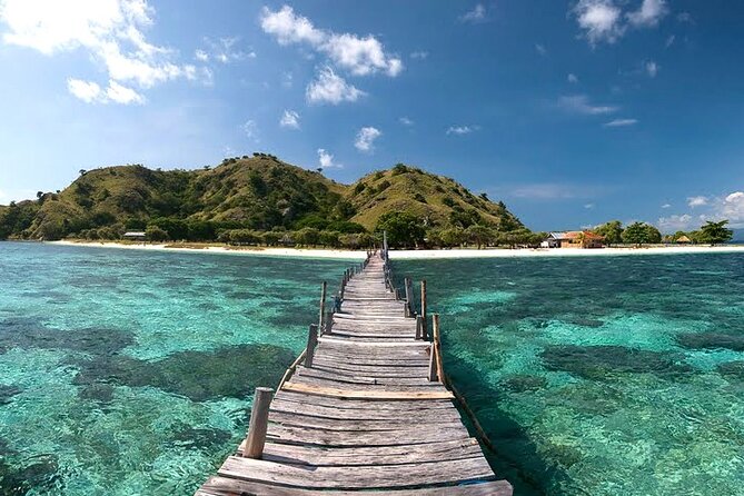 3D2N Sailing Komodo Living on Board Fiday to Sunday (Labuan Bajo) - Wildlife reality check: Komodo dragons and manta rays aren’t guaranteed