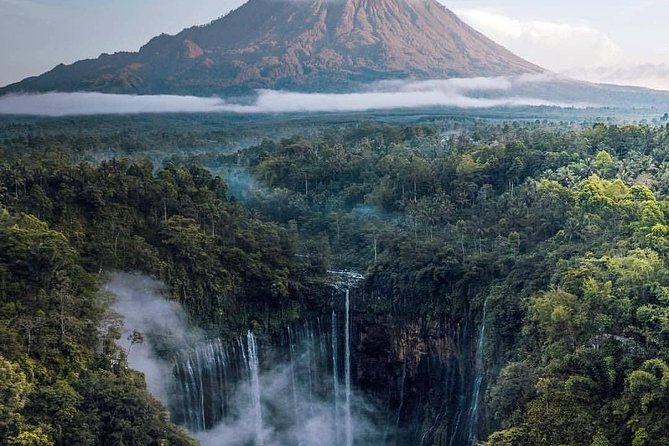 3Days - Tumpaksewu Bromo Ijen Adventure via Malang or Surabaya - Tumpaksewu waterfall: bamboo stairs, real vertigo, and local ranger time