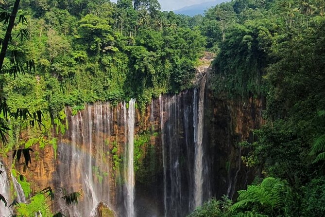 3Days - Tumpaksewu Bromo Ijen Adventure via Malang or Surabaya - Ijen crater night-to-dawn trek: blue-fire timing, 4 km climb, and the fitness check