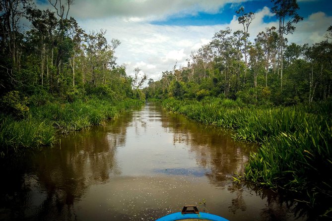 3ns Private Orangutan and Bornean Primates Kelotok Tour - Price and Value: What $591 Buys You in Borneo