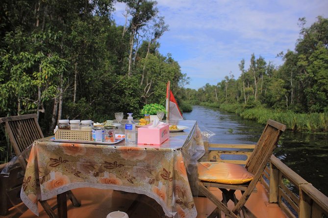 3ns Private Orangutan and Bornean Primates Kelotok Tour - Who This 4-Day Orangutan Boat Trip Is For